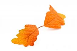 Искусственные листья - Лист дуба двойной осенний 20 шт